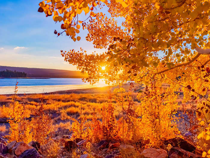 The contrast of the blue of Big Bear Lake in Southern California to the red and orange of its trees is a sight to behold.