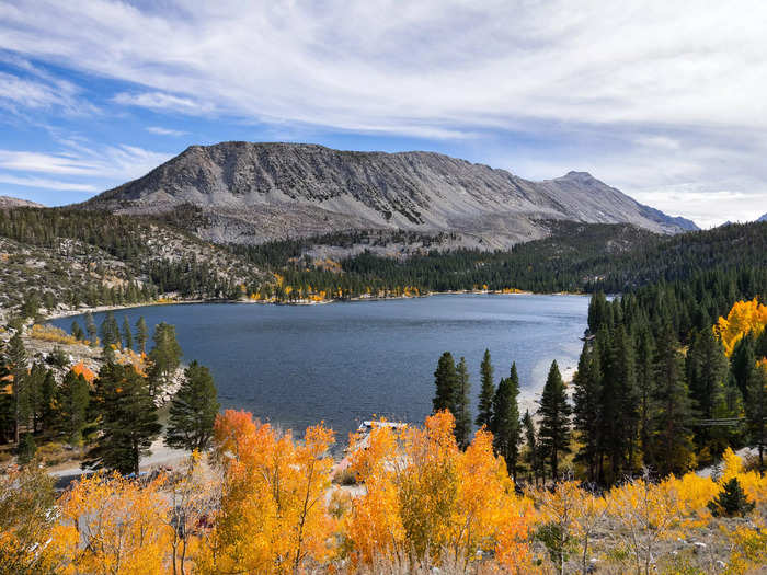 Amid the greenery around Rock Creek Lake in the Eastern Sierra Mountains, trees burst with vibrant colors.