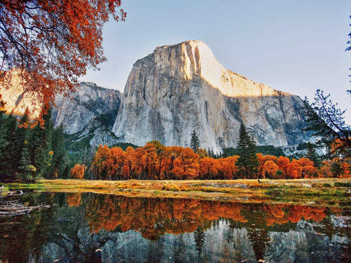 The fiery red leaves around Yosemite