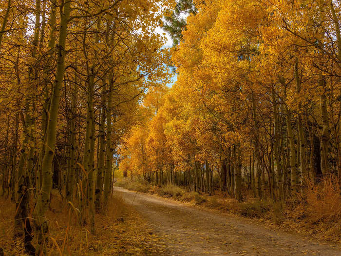 Lundy Lake in Lee Vining, California, is also home to breathtaking fall scenery.