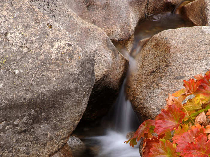 In Eldorado National Forest in California