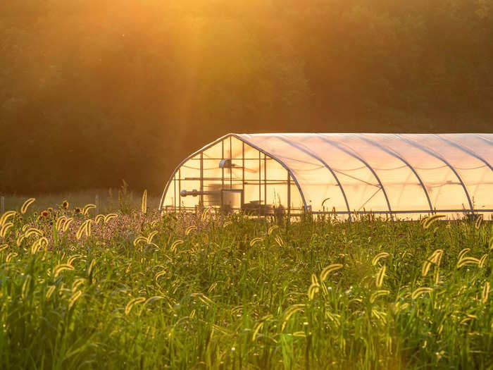 By continuing to lease the farmland, a new owner won