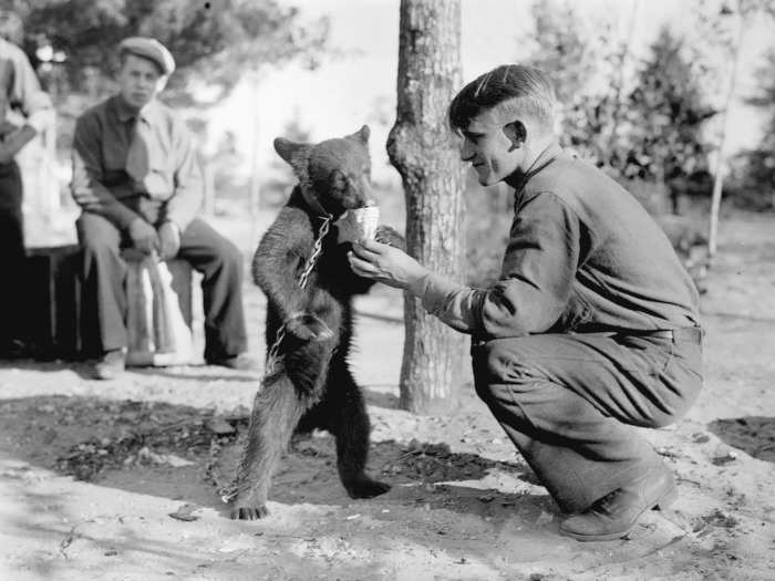 By the end of the CCC in 1942, 2.5 million men had served in more than 4,500 camps across the country.