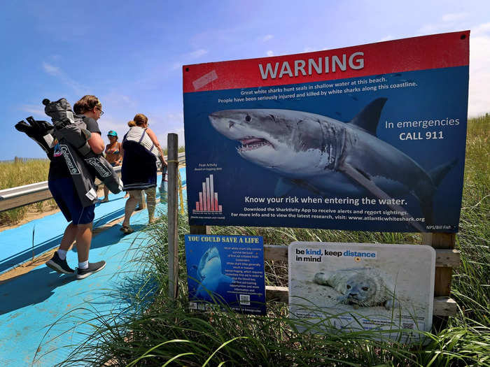 If you are bitten by a shark and manage to get away, your last step is to get out of the water as soon as you can and stop any bleeding.