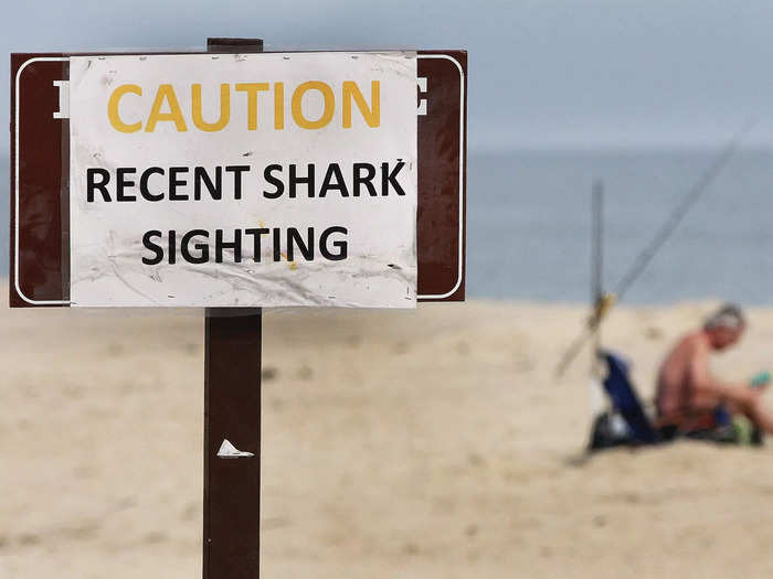 You should also avoid areas where sharks have recently been spotted, or swimming out too far on your own.