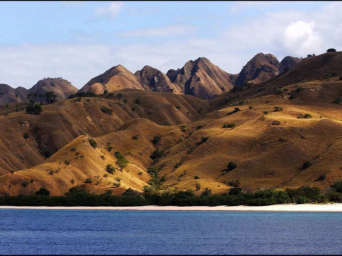 The Komodo National Park is located in the South Pacific Ocean on the eastern edge of Indonesia.