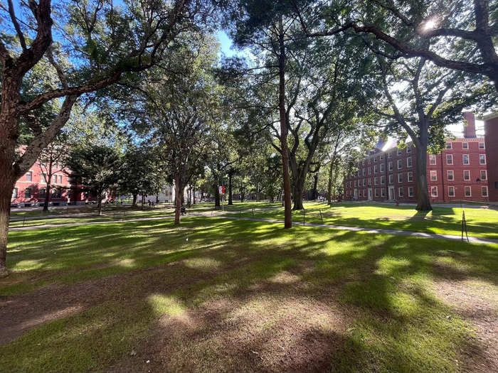 Almost all Harvard freshmen live in Harvard Yard.