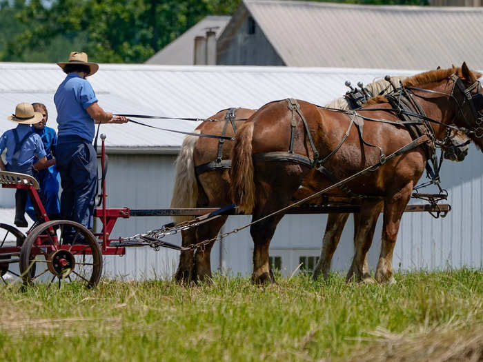 Costco is particularly popular with the Amish community, according to the authors.