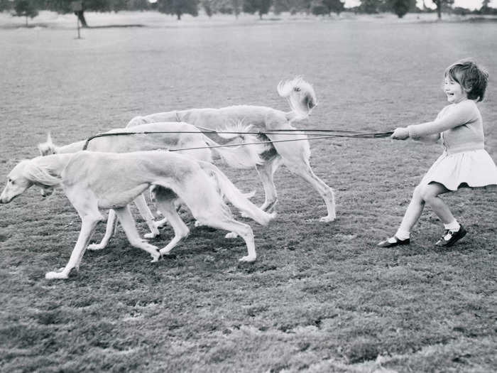 Is this little girl walking the dogs or are they walking her?