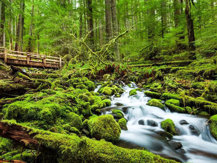 Olympic National Park, Washington