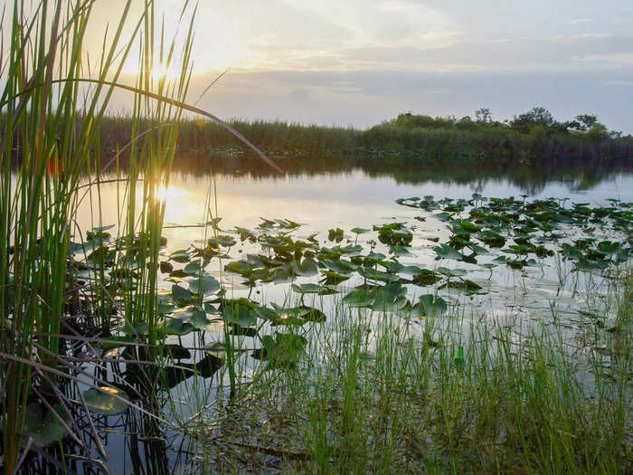 The Everglades, Florida