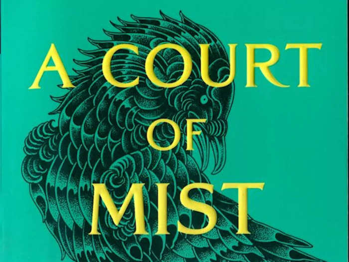 "A Court of Mist and Fury"