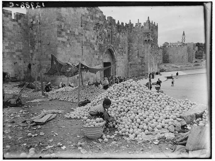 Produce was bountiful and available to buy on a small or large scale.