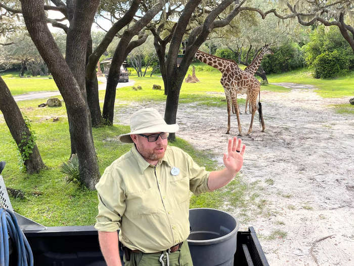 We had extra time to speak with a park employee working with the giraffes.