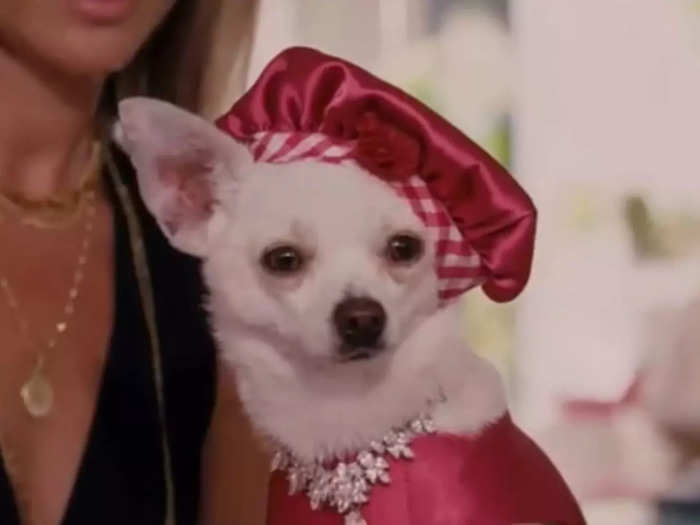 In "Beverly Hills Chihuahua" (2008), she was the voice of Chloe.