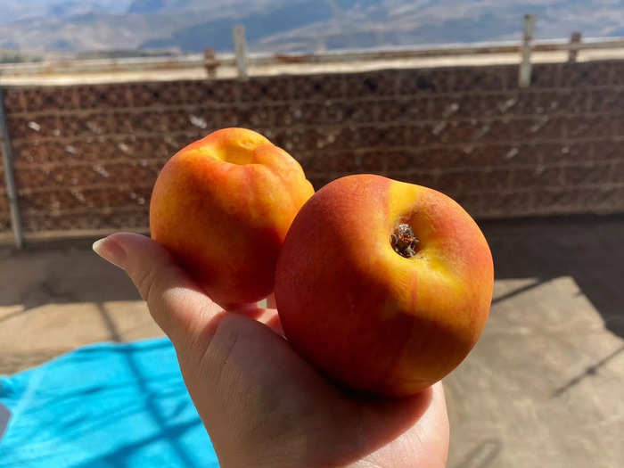 The nectarines I got at Lidl were picture-perfect.