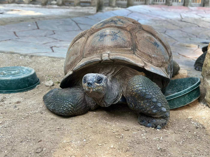 There are other animals at Gatorland, too.