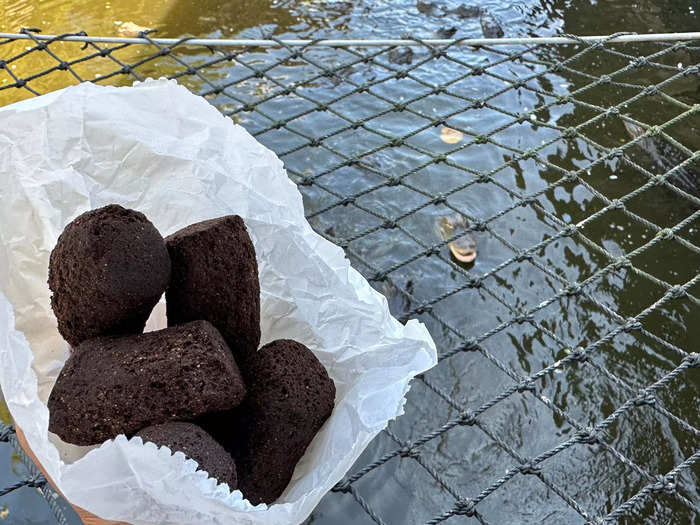 Risk-averse guests can toss gator chow from the docks instead.