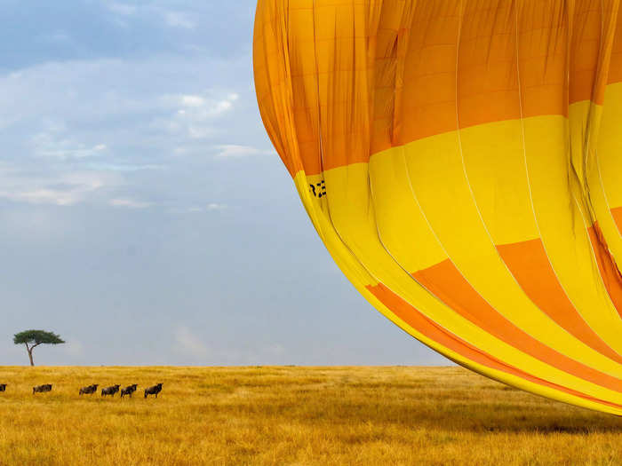 First place, People and Nature: "Wildebeest Breakfast Balloon Safari" by Michael Hegyi