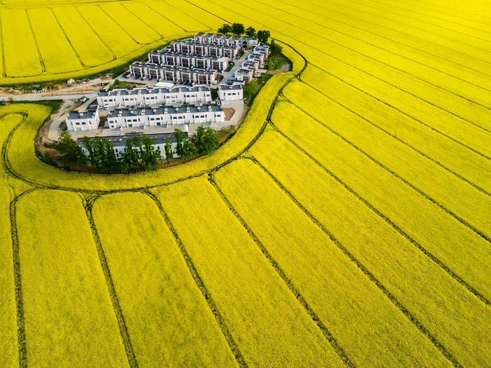 First place, Aerials: "Living Inside the Yellow Fields" by Agnieszka Wieczorek