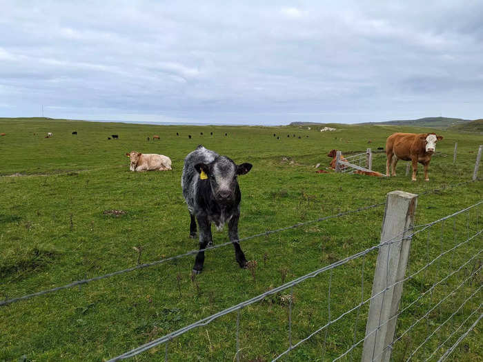 Our time on Barra was a complete contrast to life in the city.