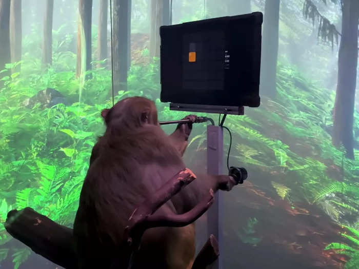 In 2021, Neuralink showed how its technology allowed a monkey to play a video game using only its mind.