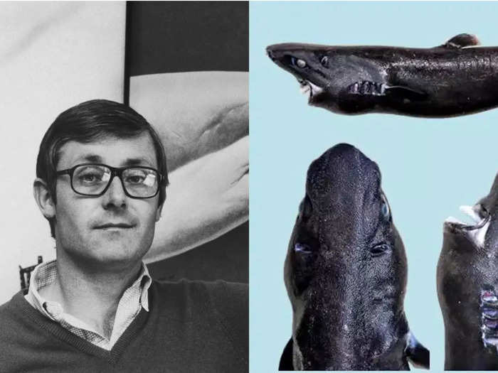 Peter Benchley and the Etmopterus benchleyi shark