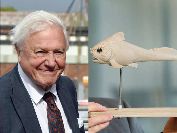 Sir David Attenborough and the Materpiscis attenboroughi fish