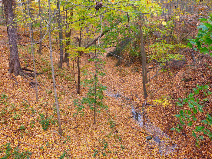 From there, it was a short distance back to the start of the hike. I found the trail suitable for all fitness and skill levels — more like a leisurely nature walk than a challenging trek.