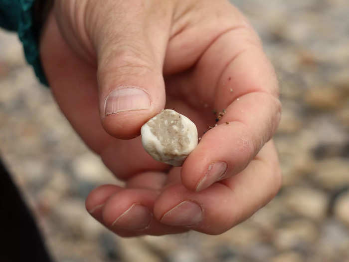 He also held up a piece of Lake Michigan agate, a waxy, layered stone commonly found in the area.