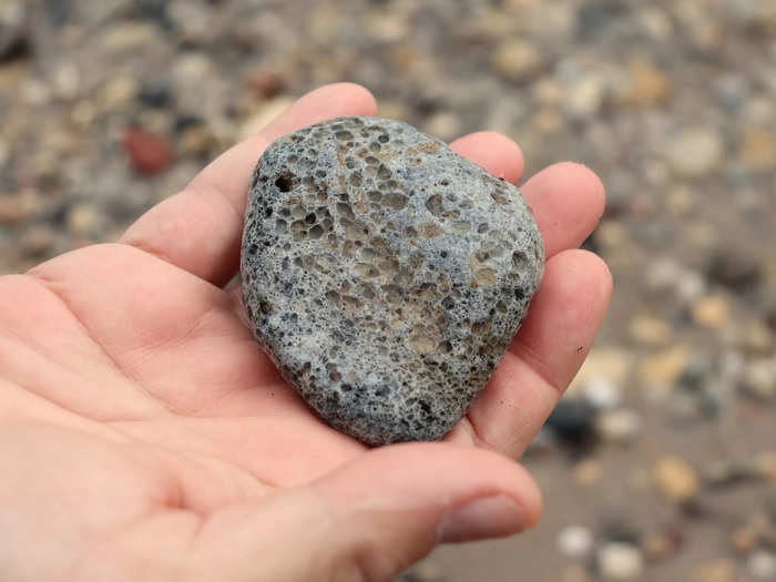 My dad identified some fossilized coral.