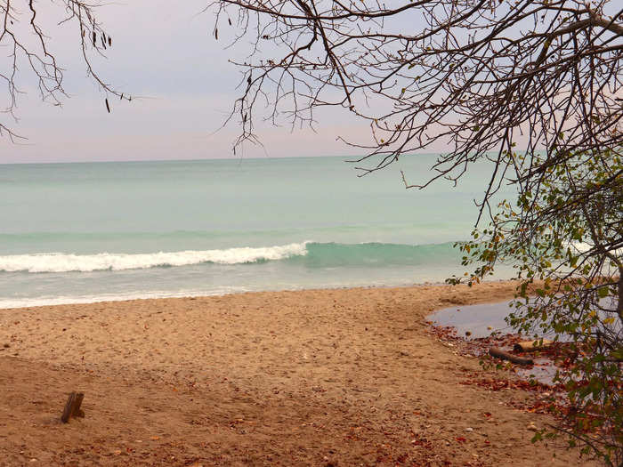 Trees created a beautiful curtain along the coast.