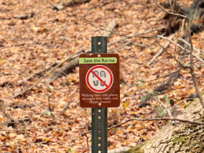 More signs reminded us to preserve the natural beauty of the area by staying on the designated paths.