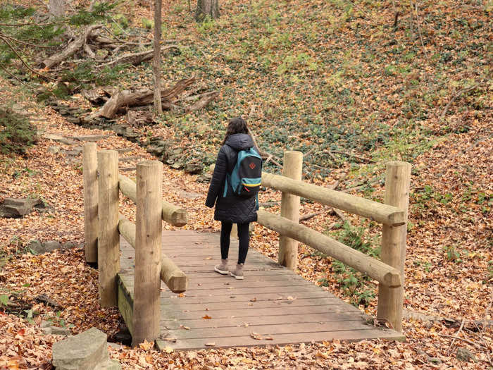 Some of the bridges on the trail were more like walkways positioned low to the ground.