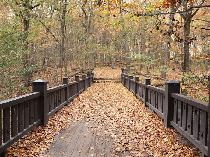 Even though it had snowed a few days before, the path was still vibrant with autumn colors.