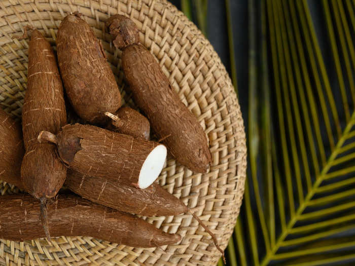 Cassava must be properly cooked, or you