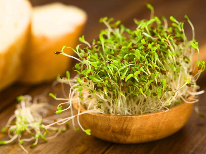 The humid conditions needed for alfalfa sprouts to grow are also perfect for germs to grow.