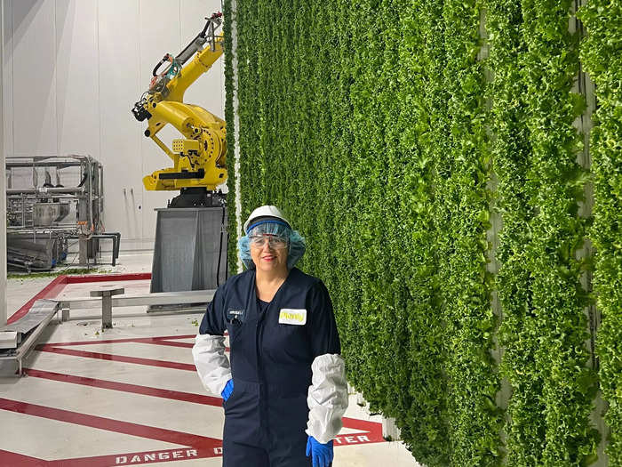 When the leafy greens are ready for harvest, the vertical towers travel by a ceiling track system to the harvest room.