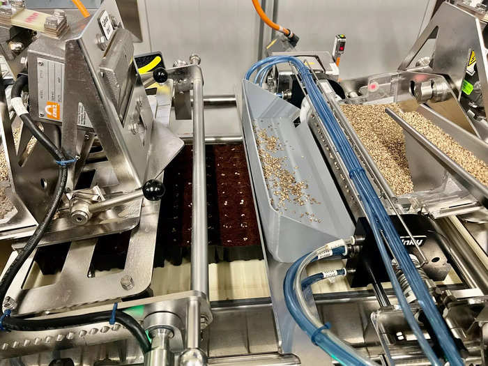 Automated machinery fills the trays with seeds, and drizzles them with minerals and water. 