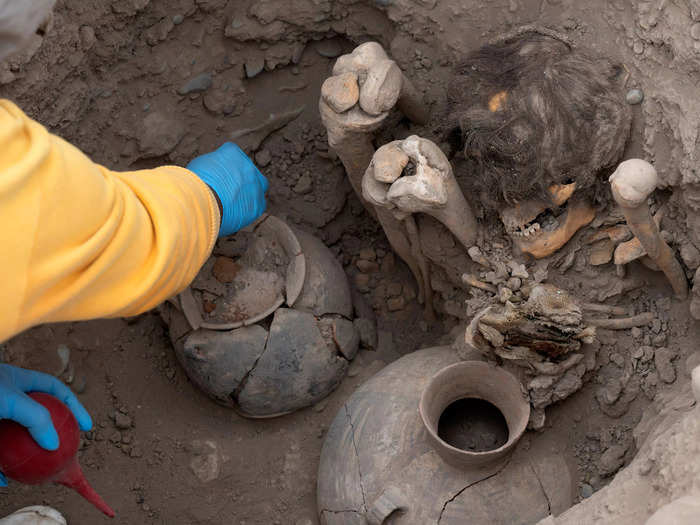 A 1,000-year-old mummy with a head of luscious long brown hair