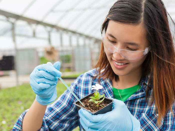 10. Soil and plant scientists