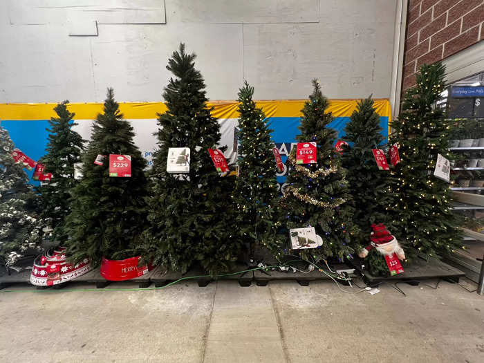 Christmas trees and decorations took over the Outdoors section.