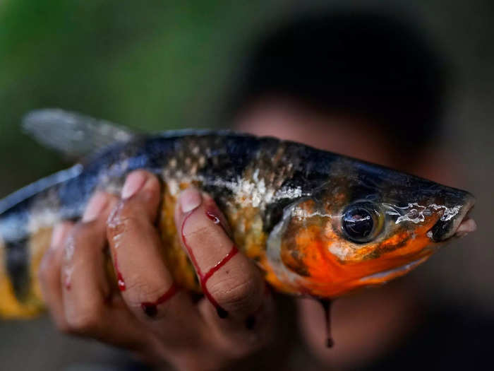 The community spends their days fishing. 