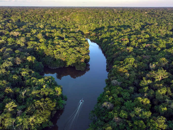 The Juma territory is roughly the size of Las Vegas and is surrounded by old-growth rainforest. 