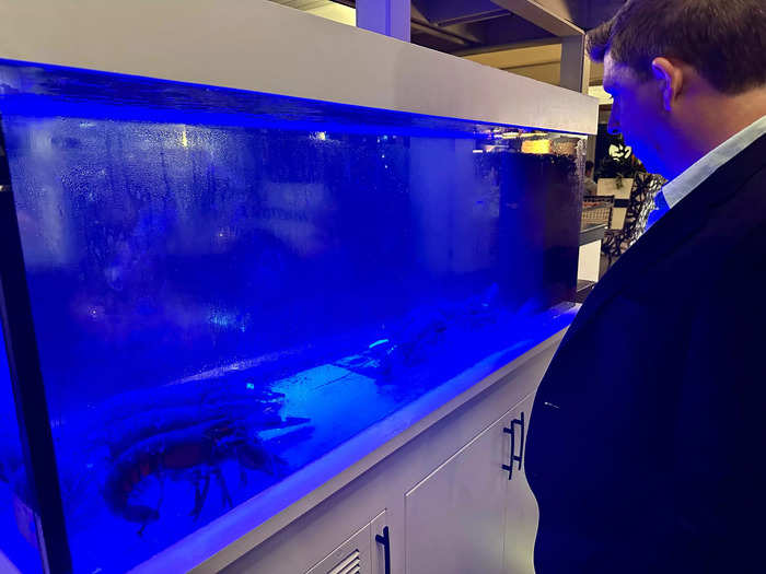 The lobster tank was a main feature of the restaurant. 