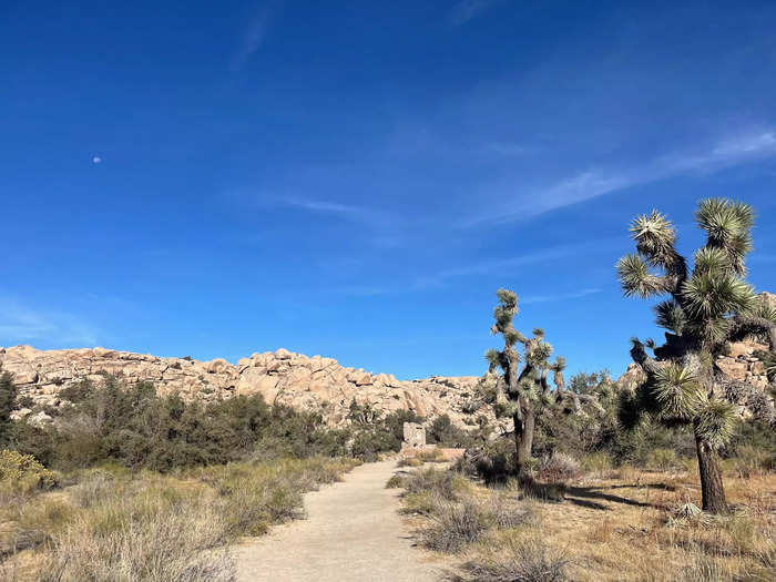 As I kicked sand into my shoes and hiked along a marked path, I finally spotted something pink in the distance.