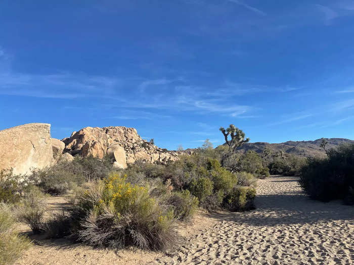 Arriving at the trail, as I looked along the horizon, I spotted plenty of Joshua trees but I didn’t see any abandoned structures. 