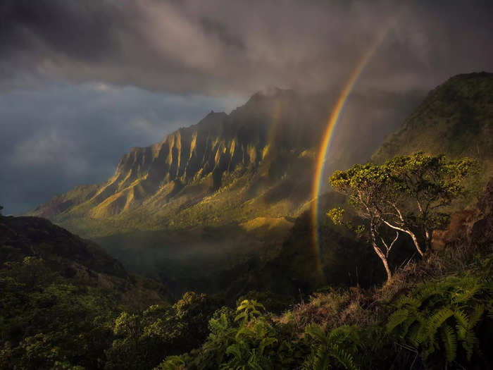 He also photographed a rainbow in the misty forests of Kauai, Hawaii.