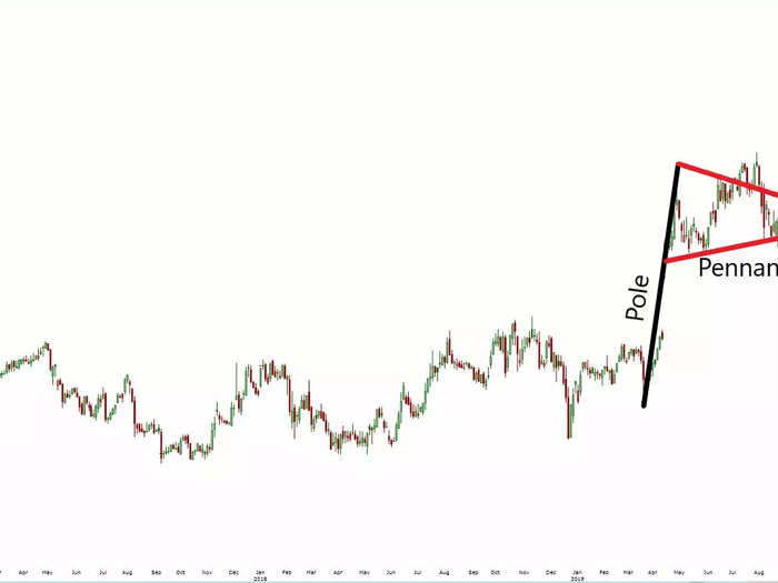 5. Bull Pennant