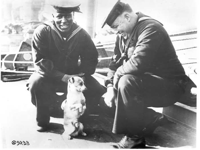 But every once in a while, Navy dogs would get themselves into trouble